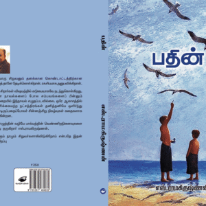 Pathin Novel wrapper